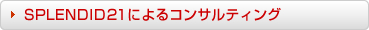 SPLENDID21�ɂ��R���T���e�B���O